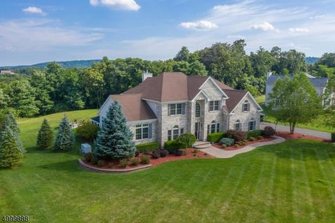 107 Junction Rd, Hampton, NJ 08827 photo 3
