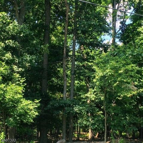 1 Biser Rd, Flemington, NJ 08822 photo 23
