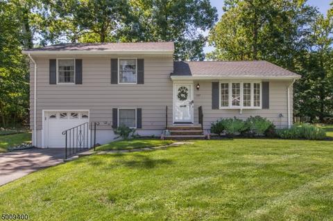105 Chestnut Dr, Wayne, NJ 07470 photo 1