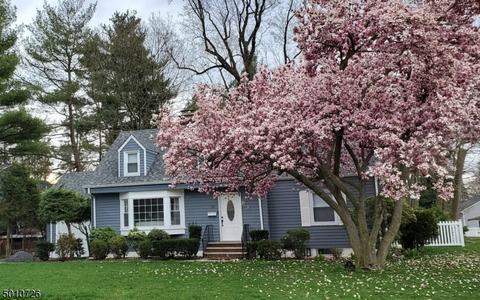 83 Salter St, Springfield, NJ 07081 photo 22