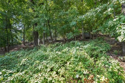 51 Sagamore Rd, Millburn, NJ 07041 photo 25