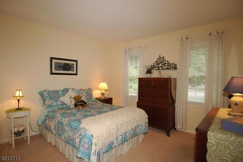 37 Killdeer Dr, Hackettstown, NJ 07840 photo 10
