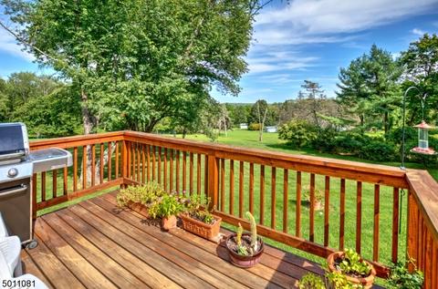 9 Cold Hill Rd, Mendham, NJ 07945 photo 24