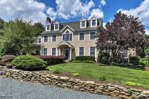 123 Stanton Rd, Flemington, NJ 08822 photo 4