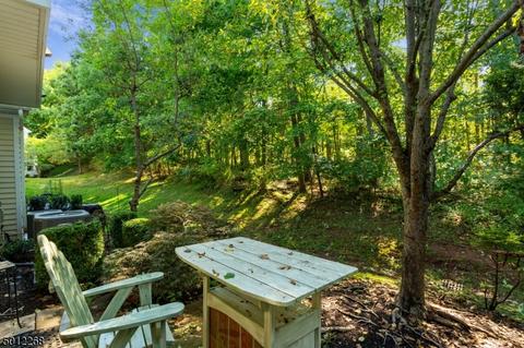 54 Pheasant Brook Ct, Bedminster, NJ 07921 photo 3