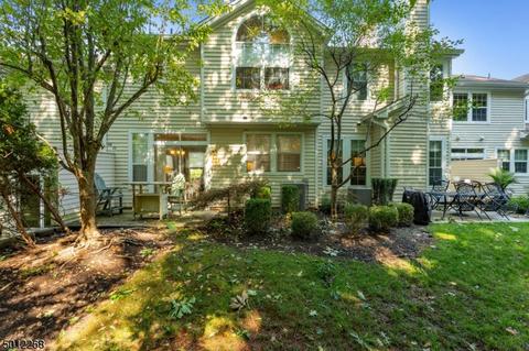 54 Pheasant Brook Ct, Bedminster, NJ 07921 photo 4