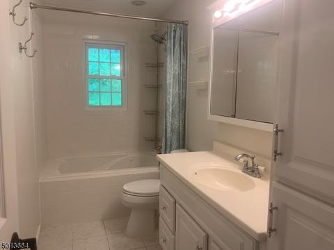 3 Appio Dr, Randolph, NJ 07869 photo 11