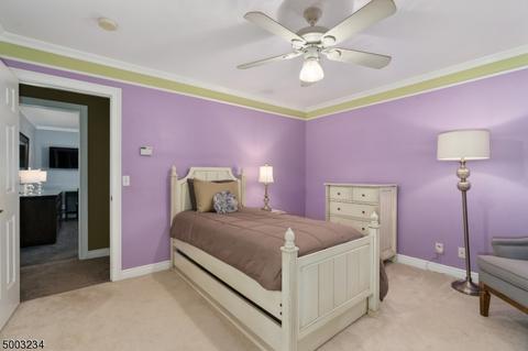 3 Ginger Ln, Sparta, NJ 07871 photo 17