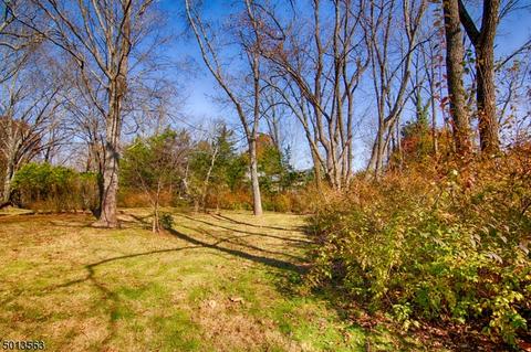 114 Hillside Ave, Bedminster, NJ 07921 photo 16