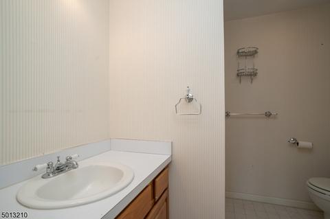 247 Long Meadow Rd, Bedminster, NJ 07921 photo 21