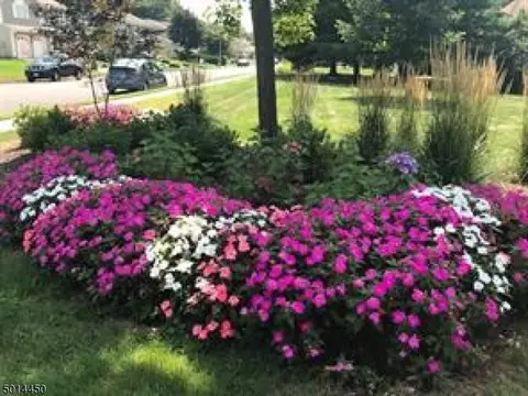 13 Gerard Pl, Parlin, NJ 08859 photo 14