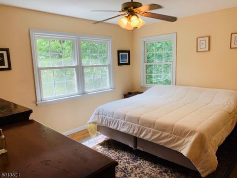 4 Brook Dr, Chester, NJ 07930 photo 18