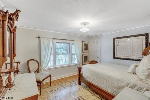 42 Whittingham Ter, Millburn, NJ 07041 photo 18