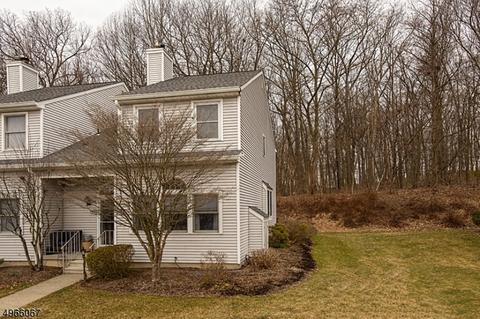 316 Carnegie Ct, Hackettstown, NJ 07840 photo 1