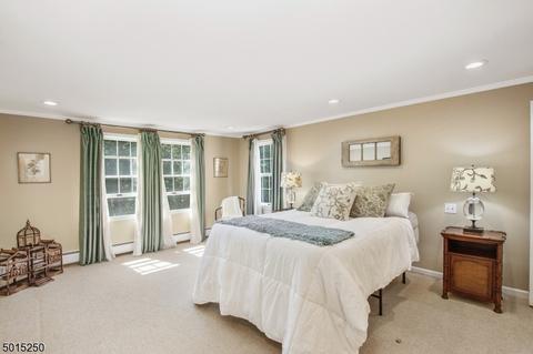 48 N Maple Ave, Basking Ridge, NJ 07920 photo 18
