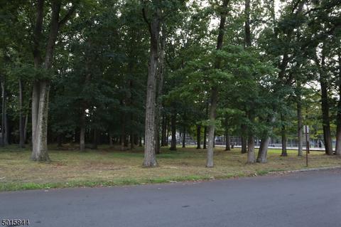 90 Adams Ter, Springfield, NJ 07081 photo 22