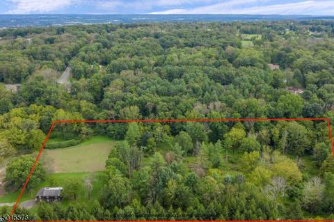 73 Harmony School Rd, Flemington, NJ 08822 photo 23