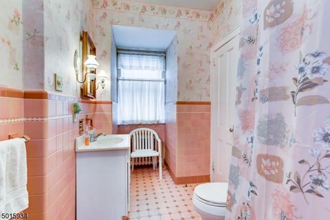253 Altamont Pl, Somerville, NJ 08876 photo 17