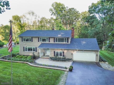3 Cramer Dr, Chester, NJ 07930 photo 12