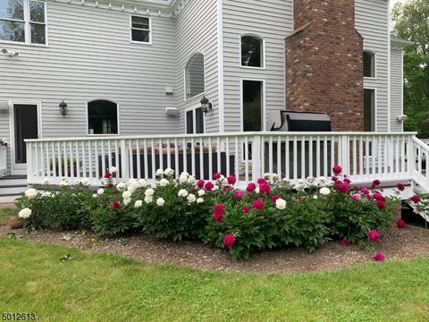 9 Forest View Dr, Chester, NJ 07930 photo 25