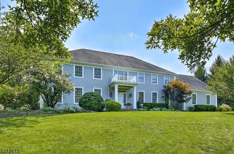 9 Forest View Dr, Chester, NJ 07930 photo 1