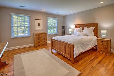 9 Forest View Dr, Chester, NJ 07930 photo 18