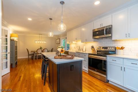 37 Thomas Dr, Clark, NJ 07066 photo 10