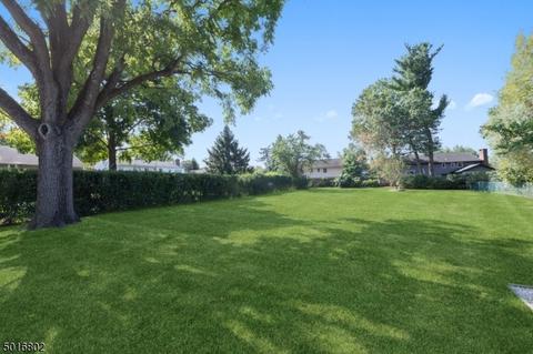 384 Milltown Rd, Springfield, NJ 07081 photo 4