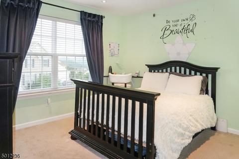 166 Sowers Dr, Hackettstown, NJ 07840 photo 18