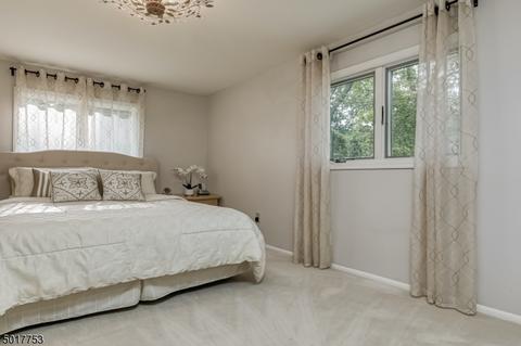 3 Webster Dr, Wayne, NJ 07470 photo 19