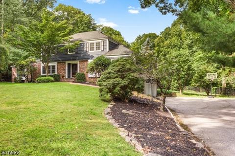 8 E Gate Rd, Long Valley, NJ 07853 photo 2