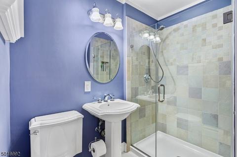 8 E Gate Rd, Long Valley, NJ 07853 photo 21