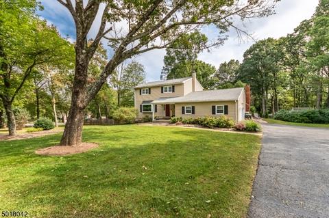 30 Robert St, Mount Olive Twp., NJ 07836 photo 24