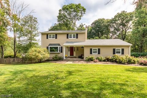 30 Robert St, Mount Olive Twp., NJ 07836 photo 1