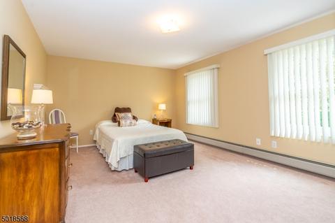 193 Webster Dr, Wayne, NJ 07470 photo 19