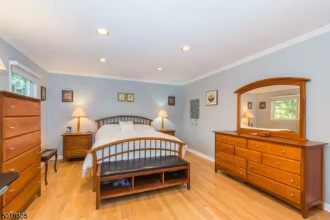 54 Meadow Brook Rd, Randolph, NJ 07869 photo 13