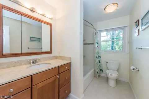 54 Meadow Brook Rd, Randolph, NJ 07869 photo 18