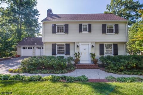 46 Valley View Ter, Wayne, NJ 07470 photo 25