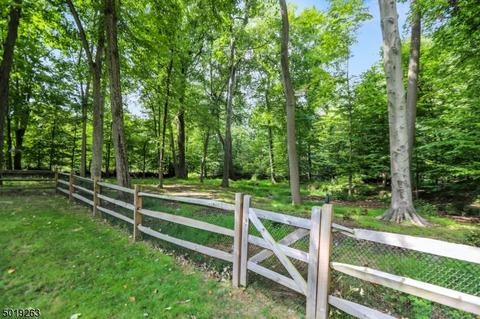 5 Fox Hedge Rd, Saddle River, NJ 07458 photo 22