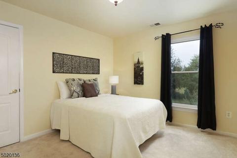 18 Clover Hill Rd, Flemington, NJ 08822 photo 16