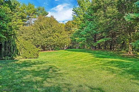 24 S Dexter Dr, Basking Ridge, NJ 07920 photo 23