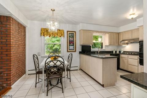 3 Beechtree Rd, Roseland, NJ 07068 photo 11