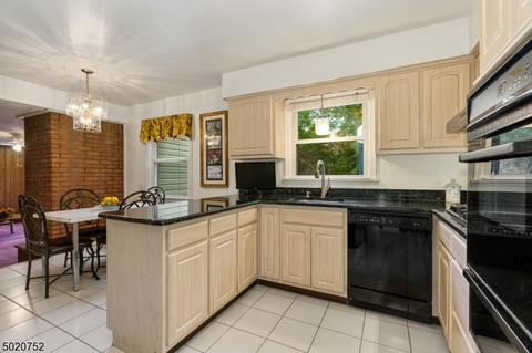 3 Beechtree Rd, Roseland, NJ 07068 photo 12