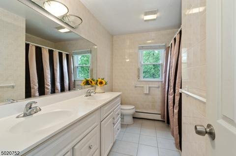 3 Beechtree Rd, Roseland, NJ 07068 photo 20