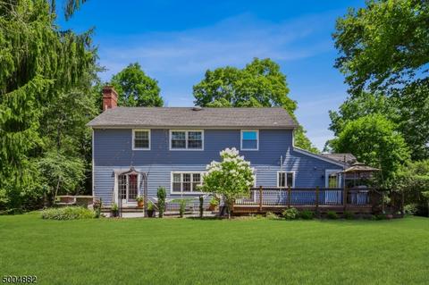 9 Cherry Ln, Mendham, NJ 07945 photo 22