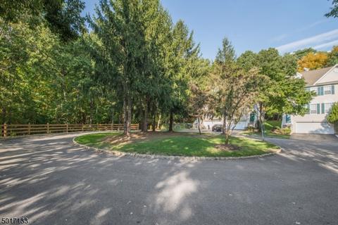 42 Harrier Ct, Wayne, NJ 07470 photo 23