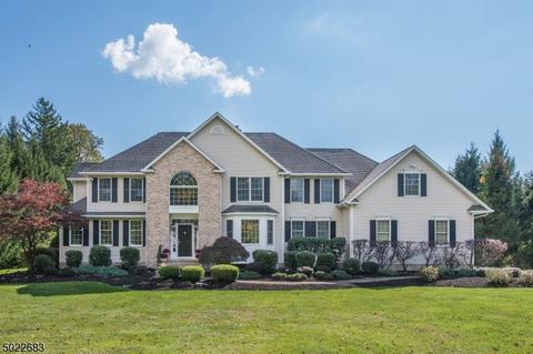 7 Ursula Ct, Mendham, NJ 07945 photo 1