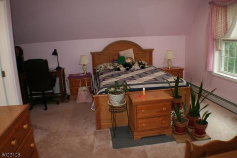 16 Chubby Ln, Montague, NJ 07827 photo 14