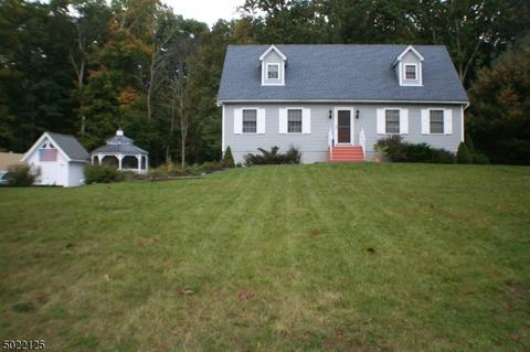 16 Chubby Ln, Montague, NJ 07827 photo 1