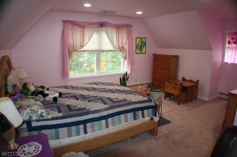16 Chubby Ln, Montague, NJ 07827 photo 13